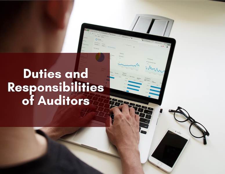 Duties and Responsibilities of Auditors in relation to the Company’s Financial Statements and Accounting Records