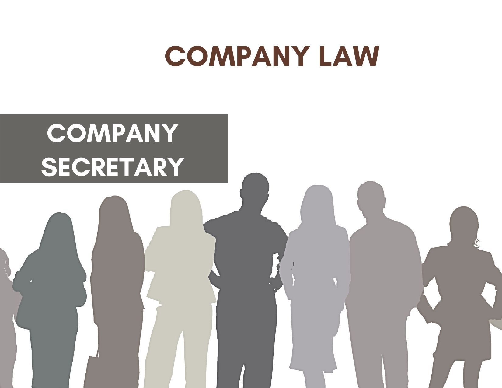 Duty of Care Owed By a Company Secretary