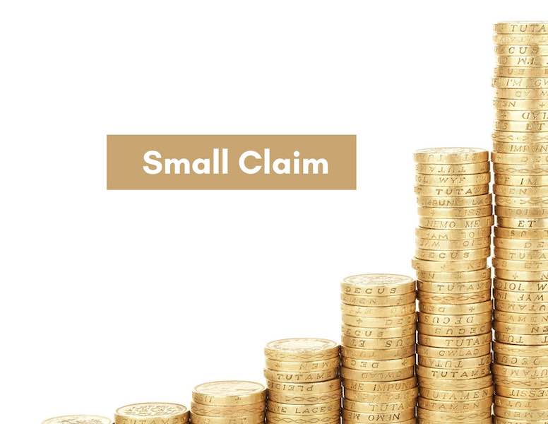 Small Claims: No Lawyers Needed!