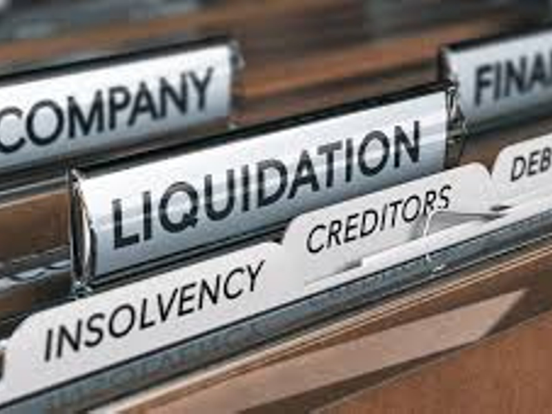 Court Appointed Liquidators
